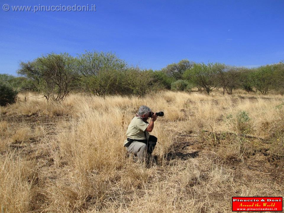 Ethiopia - Netch Sar Park - 09 - Nechisar National Park.jpg